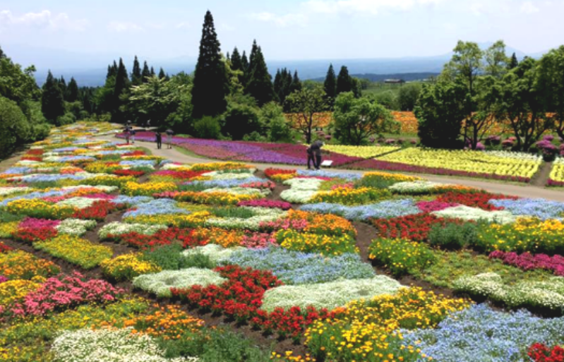kuju park, spring in japan, beautiful destinations in japan, oita japan, where to go in japan