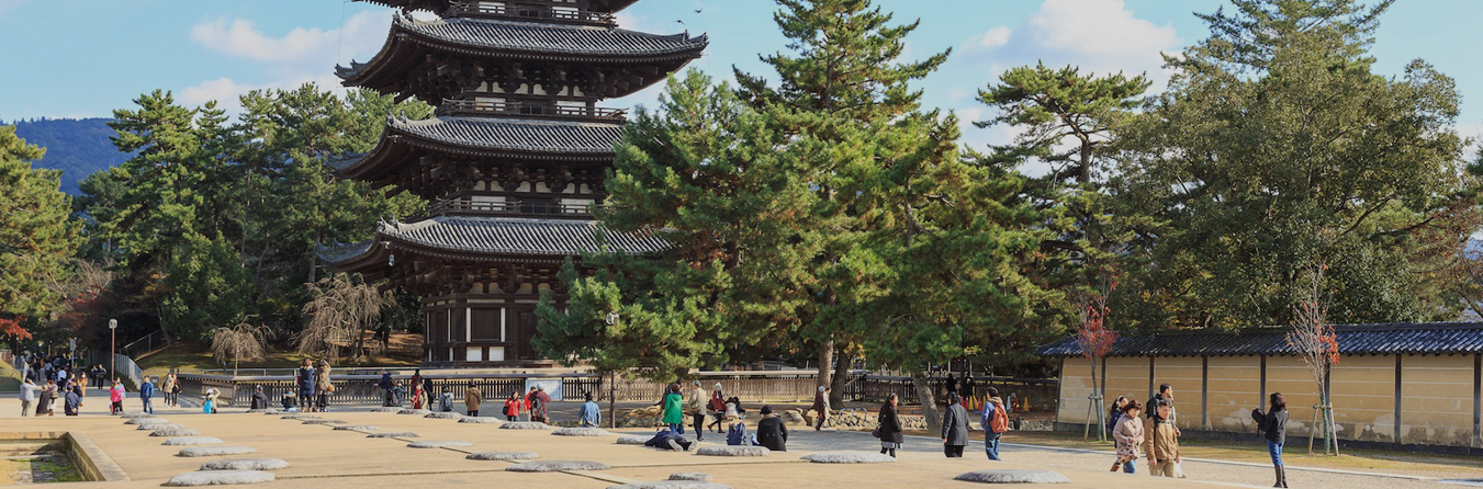 Kofukuji Temple, Nara Japan