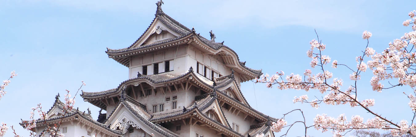 Spring season in Osaka