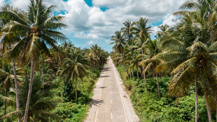 coconut road, siargao, siargao island, island life, philippines