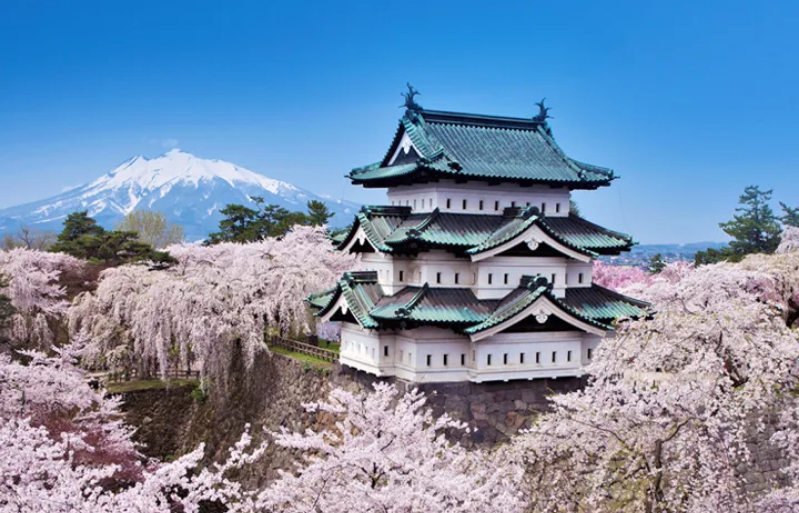 hirosaki flower park, best of japan, where to see cherry blossoms in japan, when is spring in japan