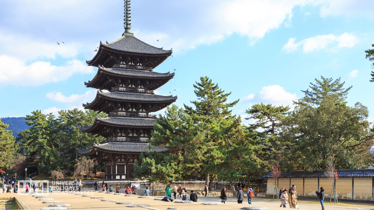 Kofukuji Temple in Nara, Japan